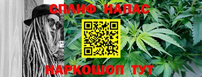 стаф Заводоуковск