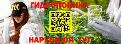 стаф Заводоуковск