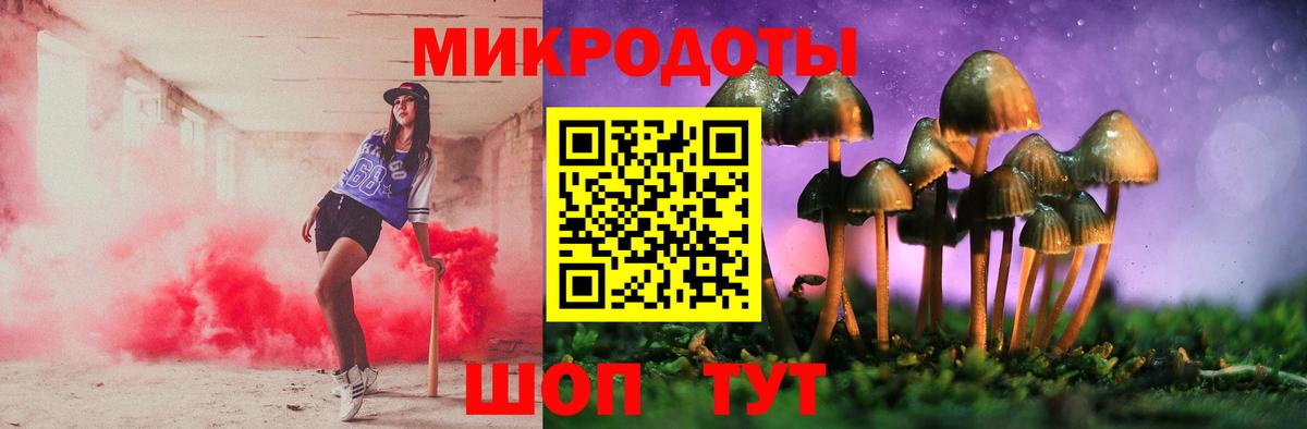 Дальнереченск  Псилоцибиновые грибы Psilocybine cubensis  Псилоцибиновые грибы Psilocybine cubensis  Вход с VPN 